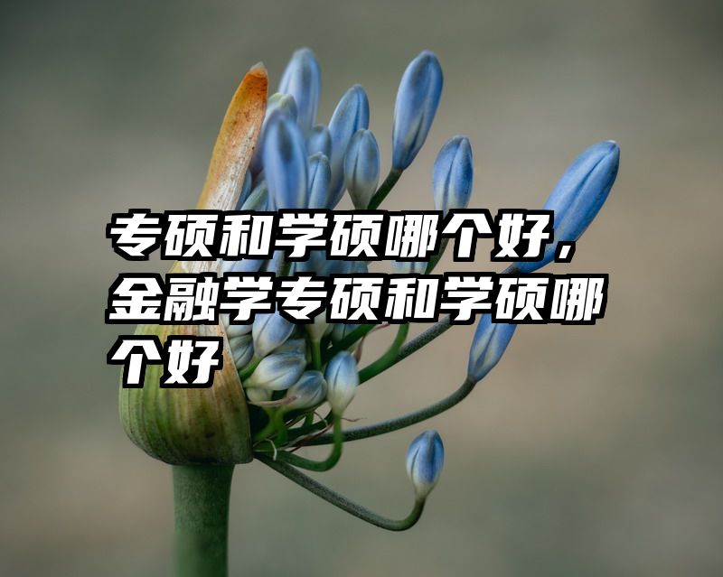 专硕和学硕哪个好,金融学专硕和学硕哪个好