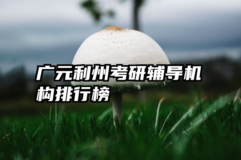 广元利州考研辅导机构排行榜