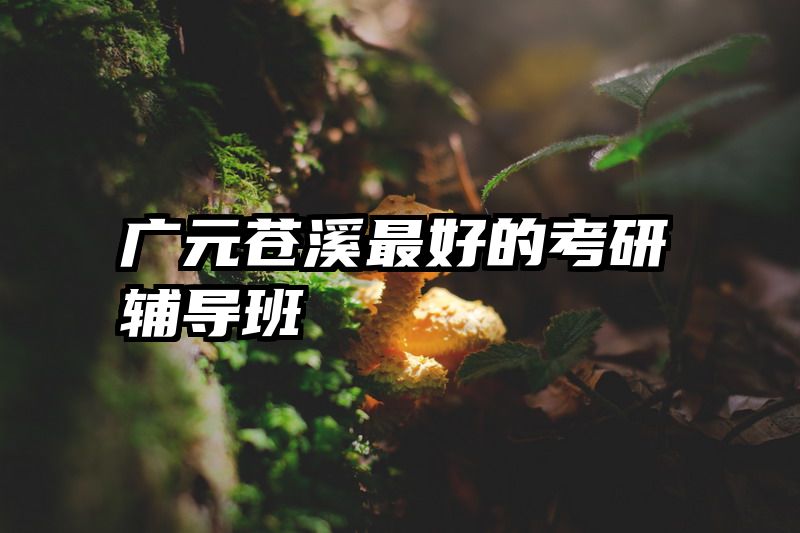 广元苍溪最好的考研辅导班