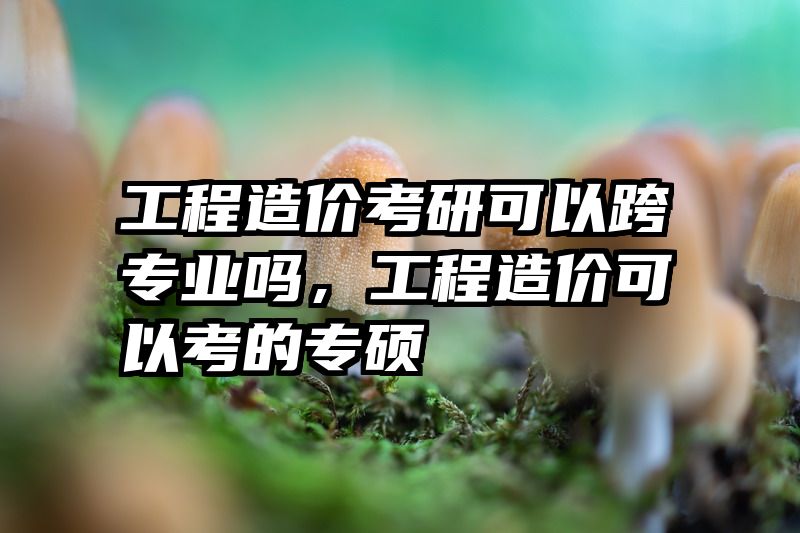工程造价考研可以跨专业吗，工程造价可以考的专硕