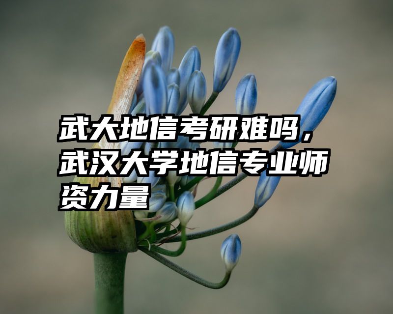 武大地信考研难吗，武汉大学地信专业师资力量