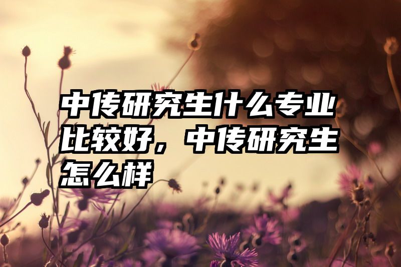 中传研究生什么专业比较好,中传研究生怎么样