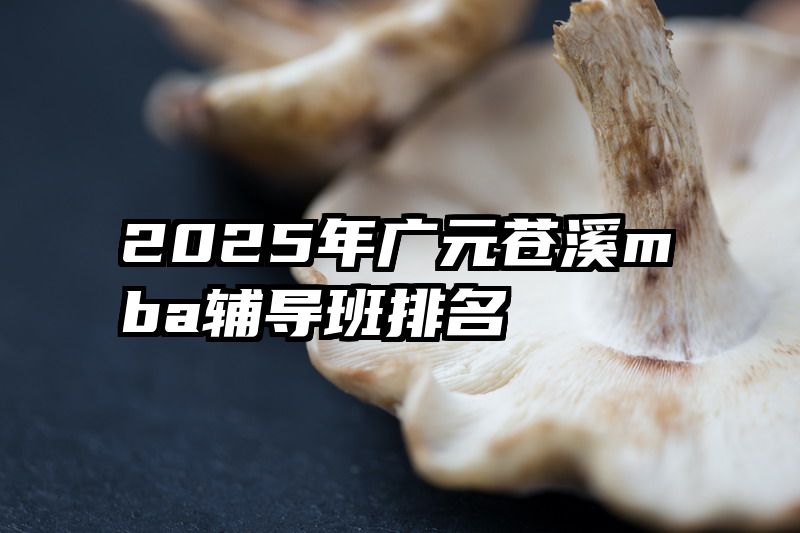 2025年广元苍溪mba辅导班排名