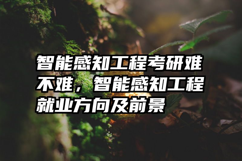 智能感知工程考研难不难，智能感知工程就业方向及前景