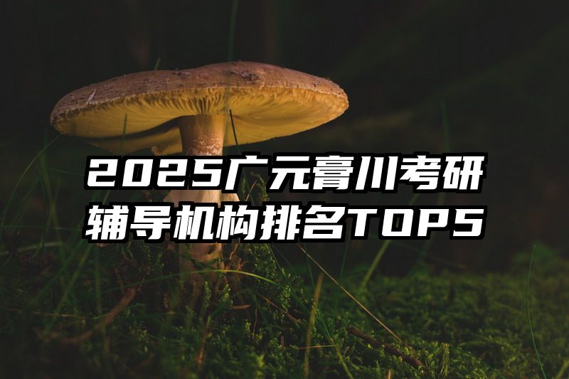 2025广元膏川考研辅导机构排名TOP5