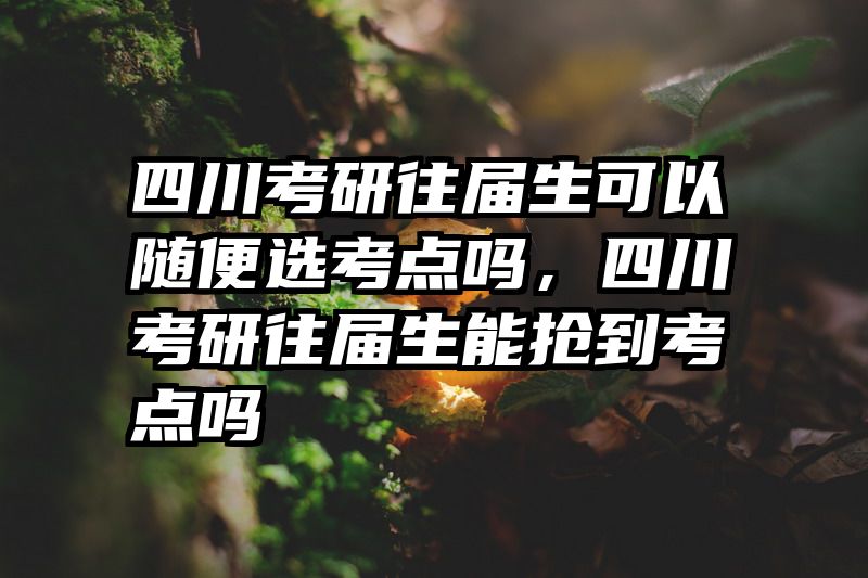 四川考研往届生可以随便选考点吗，四川考研往届生能抢到考点吗