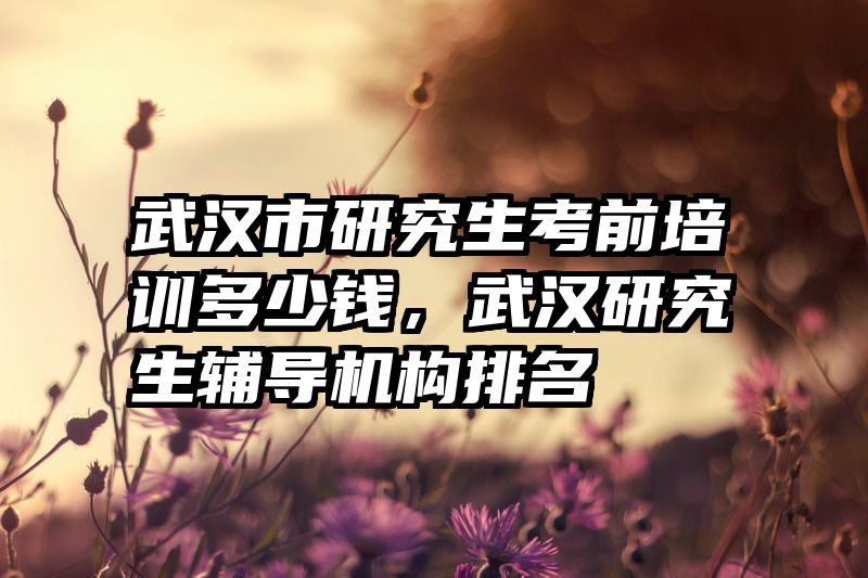 武汉市研究生考前培训多少钱，武汉研究生辅导机构排名