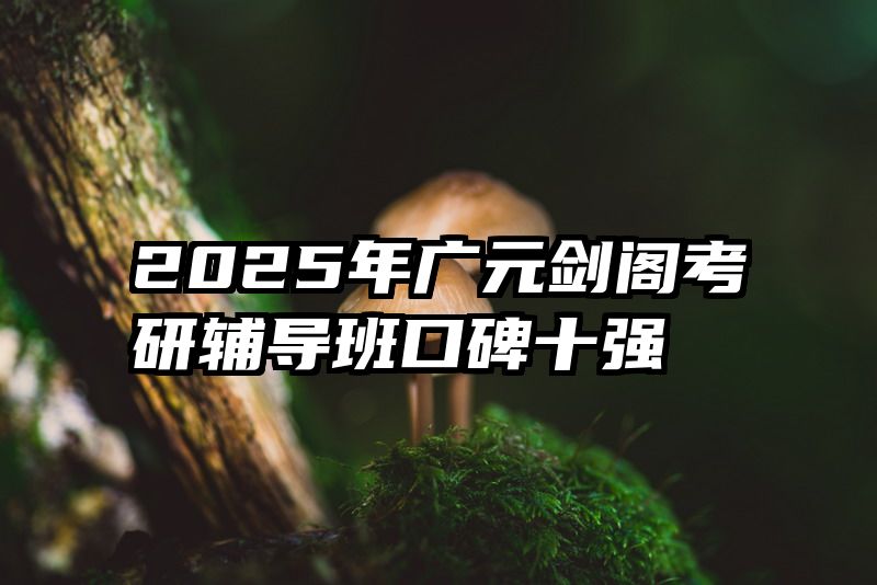 2025年广元剑阁考研辅导班口碑十强