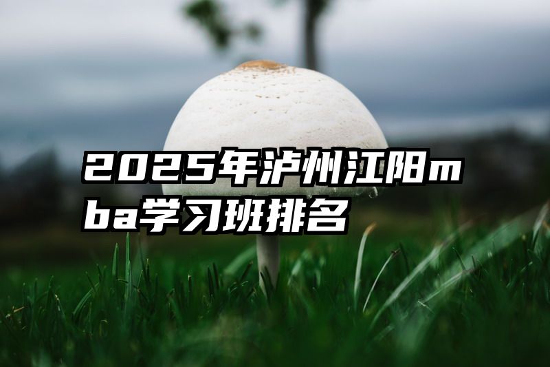 2025年泸州江阳mba学习班排名