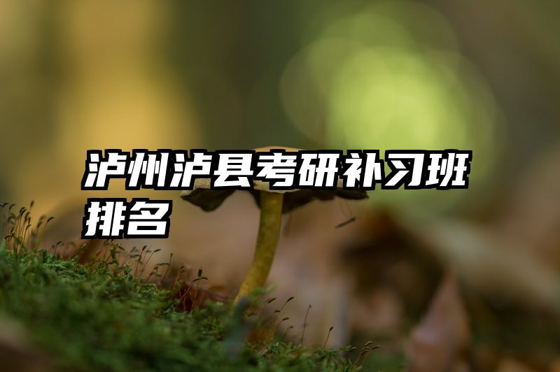 泸州泸县考研补习班排名