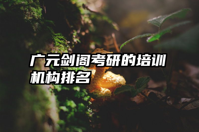 广元剑阁考研的培训机构排名