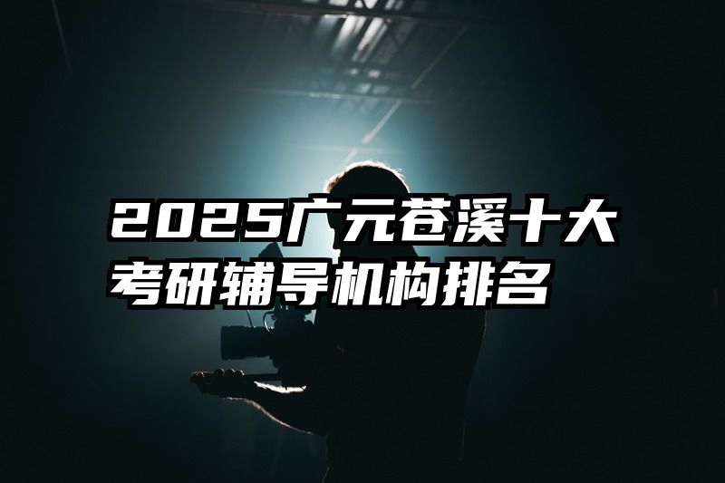 2025广元苍溪十大考研辅导机构排名