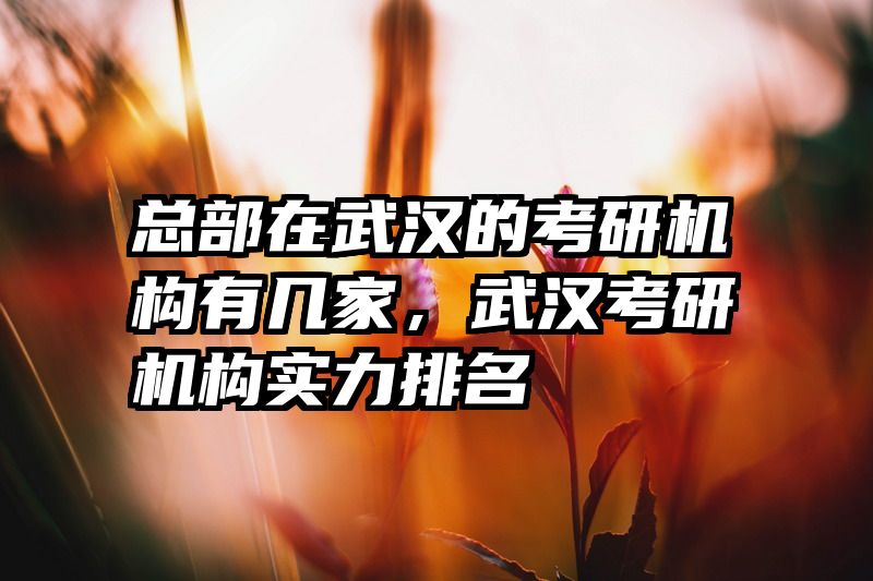 总部在武汉的考研机构有几家，武汉考研机构实力排名