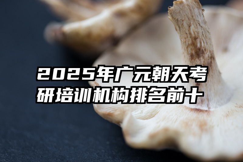 2025年广元朝天考研培训机构排名前十