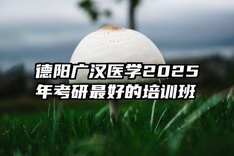 德阳广汉医学2025年考研最好的培训班