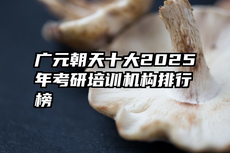 广元朝天十大2025年考研培训机构排行榜