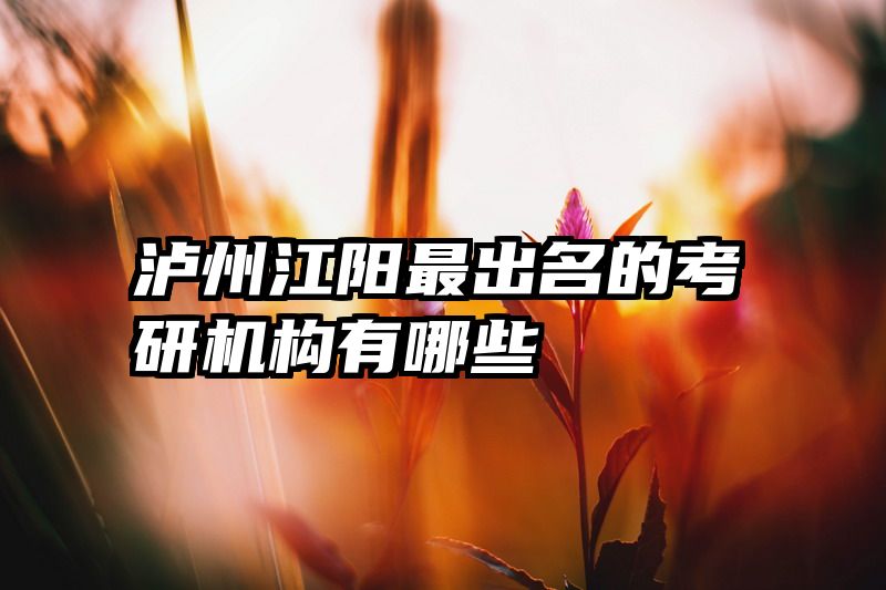 泸州江阳最出名的考研机构有哪些