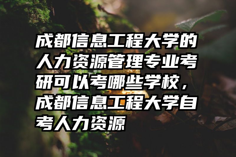 成都信息工程大学的人力资源管理专业考研可以考哪些学校，成都信息工程大学自考人力资源