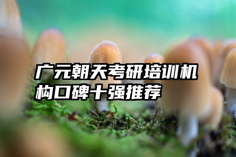 广元朝天考研培训机构口碑十强推荐