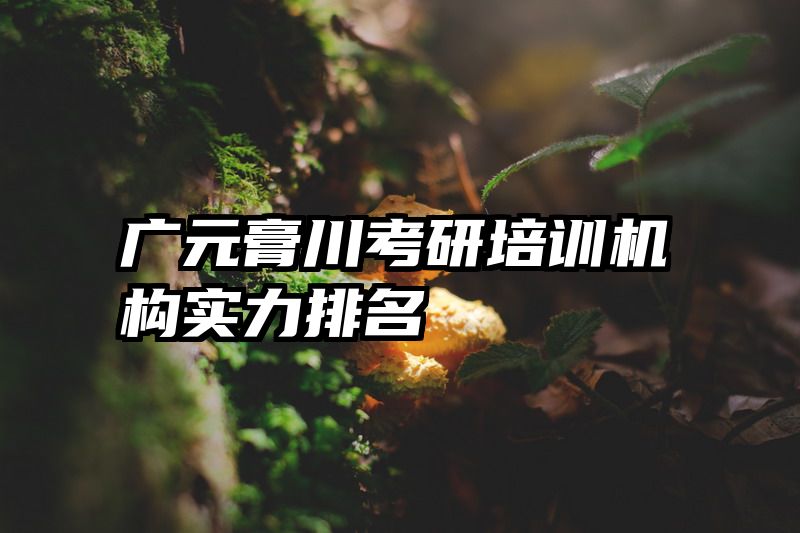 广元膏川考研培训机构实力排名