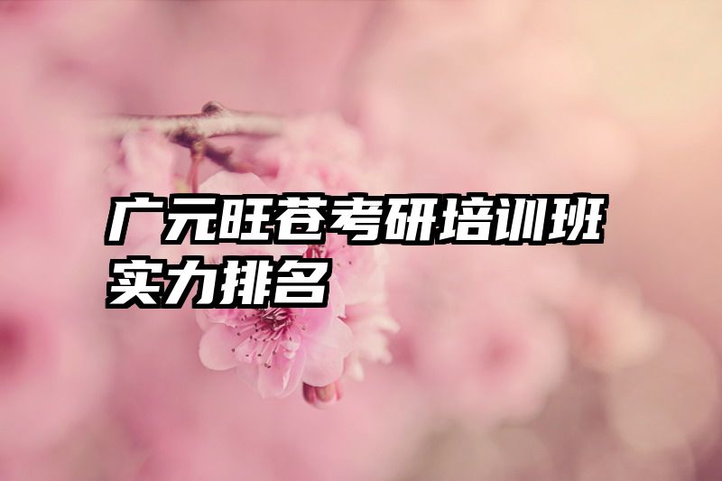 广元旺苍考研培训班实力排名