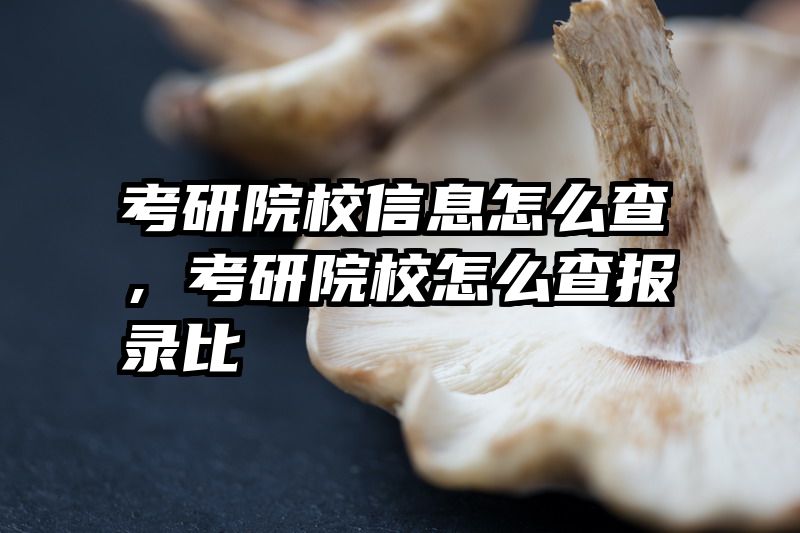 考研院校信息怎么查，考研院校怎么查报录比