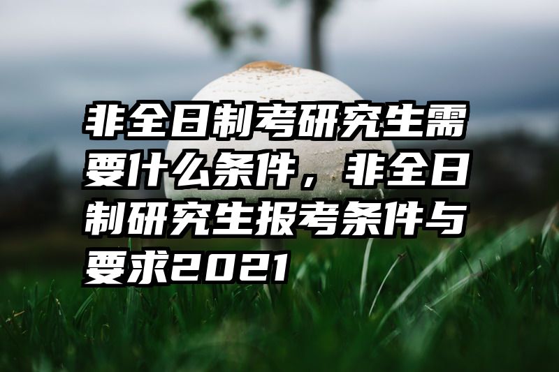 非全日制考研究生需要什么条件,非全日制研究生报考条件与要求2021