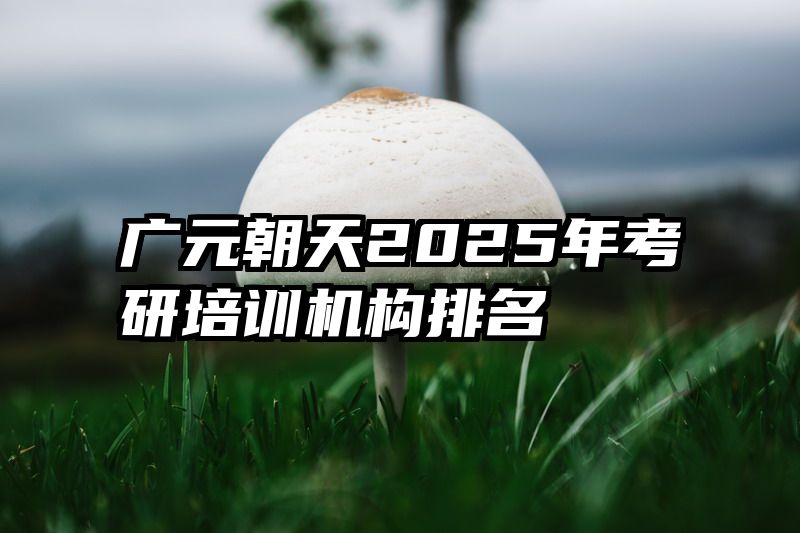 广元朝天2025年考研培训机构排名