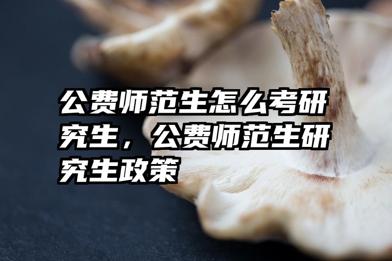 公费师范生怎么考研究生,公费师范生研究生政策