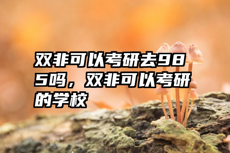 双非可以考研去985吗，双非可以考研的学校