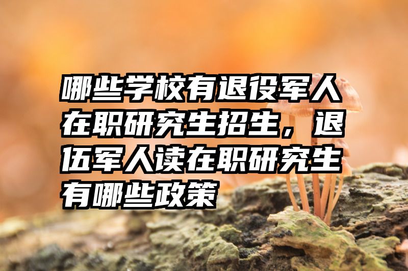哪些学校有退役军人在职研究生招生,退伍军人读在职研究生有哪些政策
