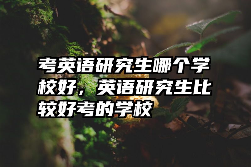 考英语研究生哪个学校好，英语研究生比较好考的学校