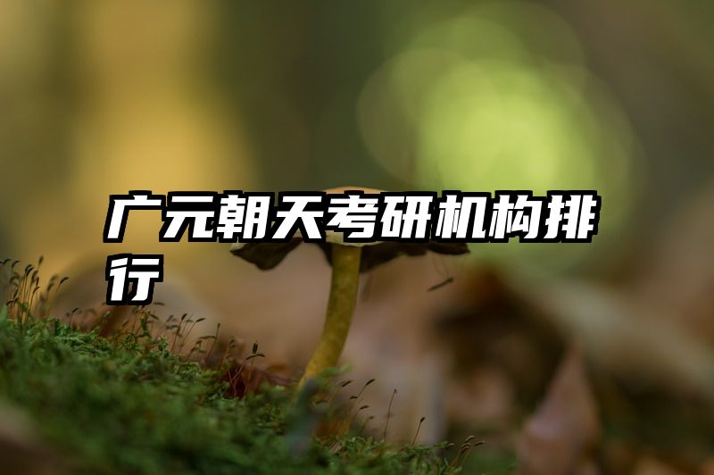 广元朝天考研机构排行