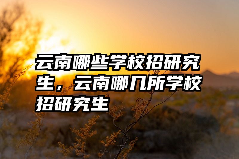云南哪些学校招研究生,云南哪几所学校招研究生
