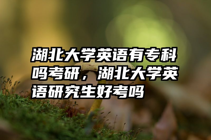 湖北大学英语有专科吗考研，湖北大学英语研究生好考吗
