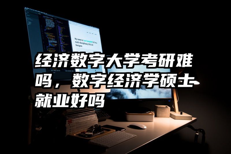 经济数字大学考研难吗,数字经济学硕士就业好吗