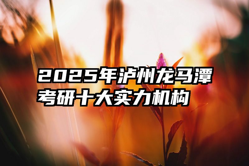 2025年泸州龙马潭考研十大实力机构