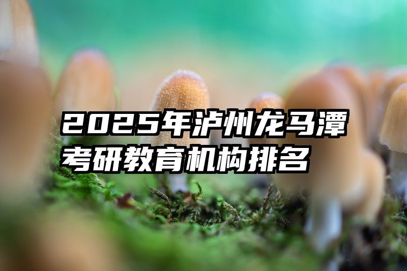 2025年泸州龙马潭考研教育机构排名