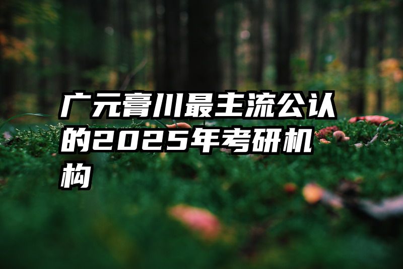 广元膏川最主流公认的2025年考研机构