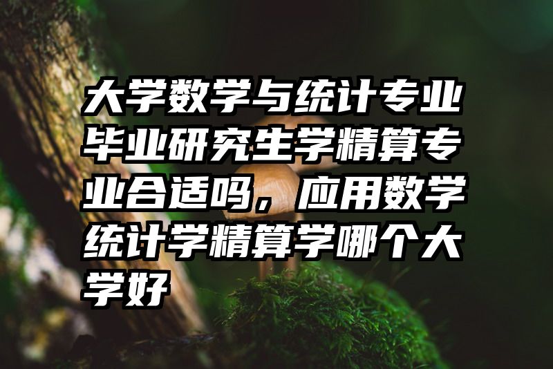 大学数学与统计专业毕业研究生学精算专业合适吗，应用数学统计学精算学哪个大学好