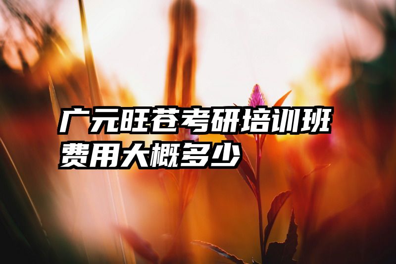 广元旺苍考研培训班费用大概多少