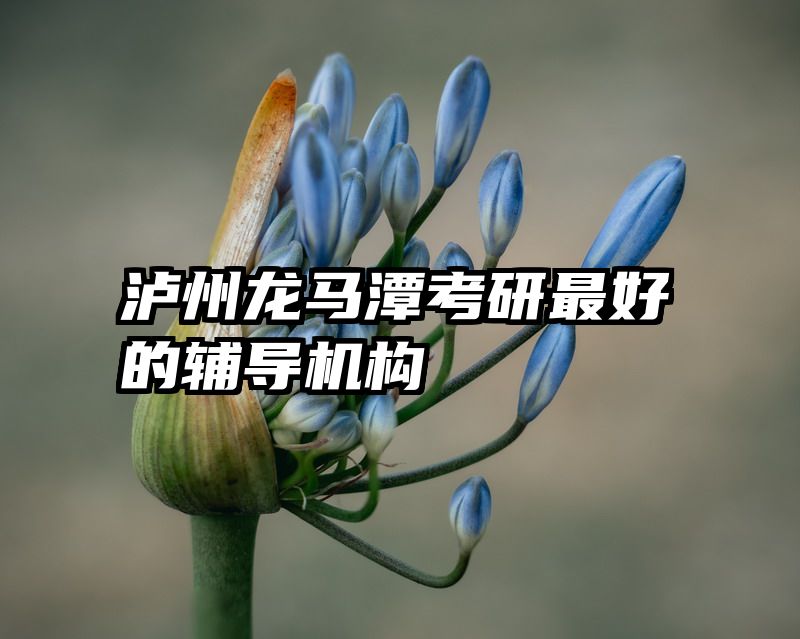 泸州龙马潭考研最好的辅导机构