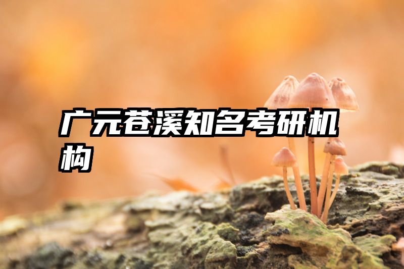 广元苍溪知名考研机构