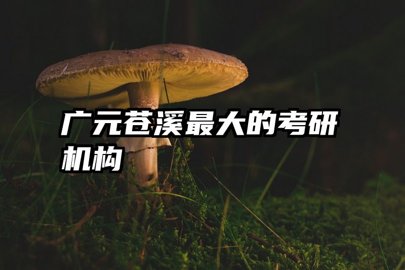 广元苍溪最大的考研机构