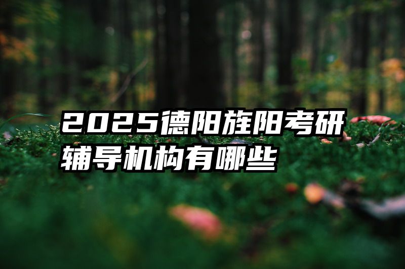 2025德阳旌阳考研辅导机构有哪些