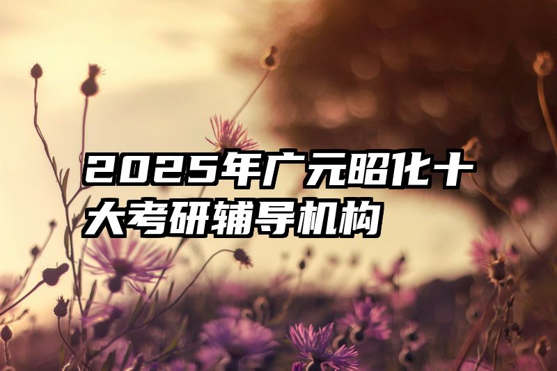 2025年广元昭化十大考研辅导机构