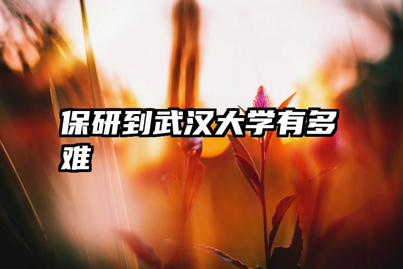 保研到武汉大学有多难