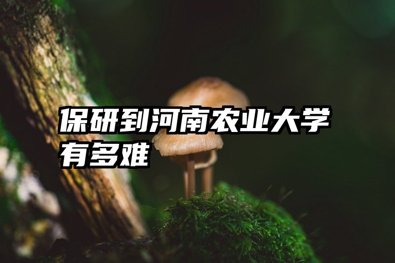 保研到河南农业大学有多难