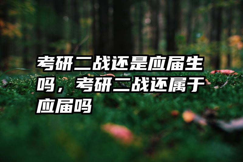考研二战还是应届生吗，考研二战还属于应届吗