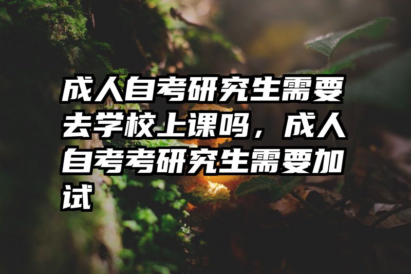 成人自考研究生需要去学校上课吗，成人自考考研究生需要加试